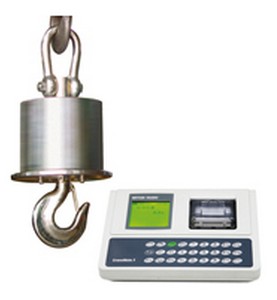 托利多电子吊秤